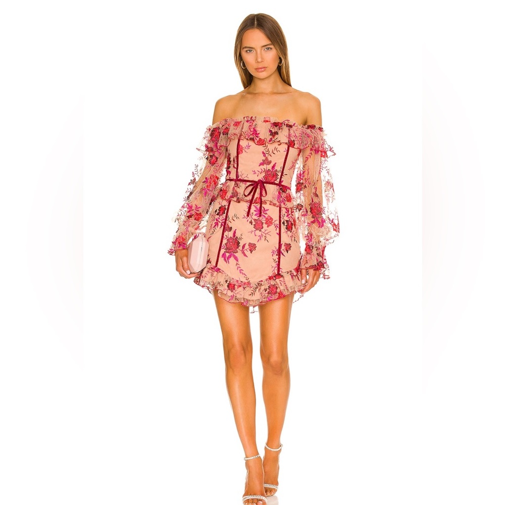 Revolve Mini Dress